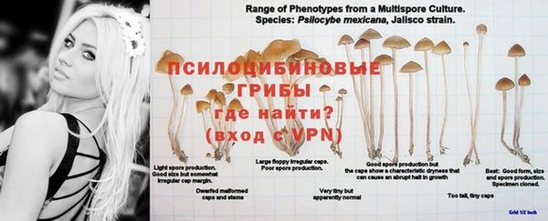 альфа пвп Михайловск